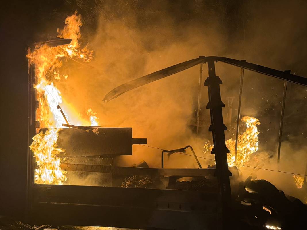 TIR yandı, alevler ağaçlara sıçradı 2